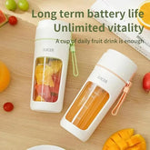 Portable Mini Electric Juicer bottle price in Pakistan