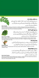 Zraan Qasuri Methi 25 gm